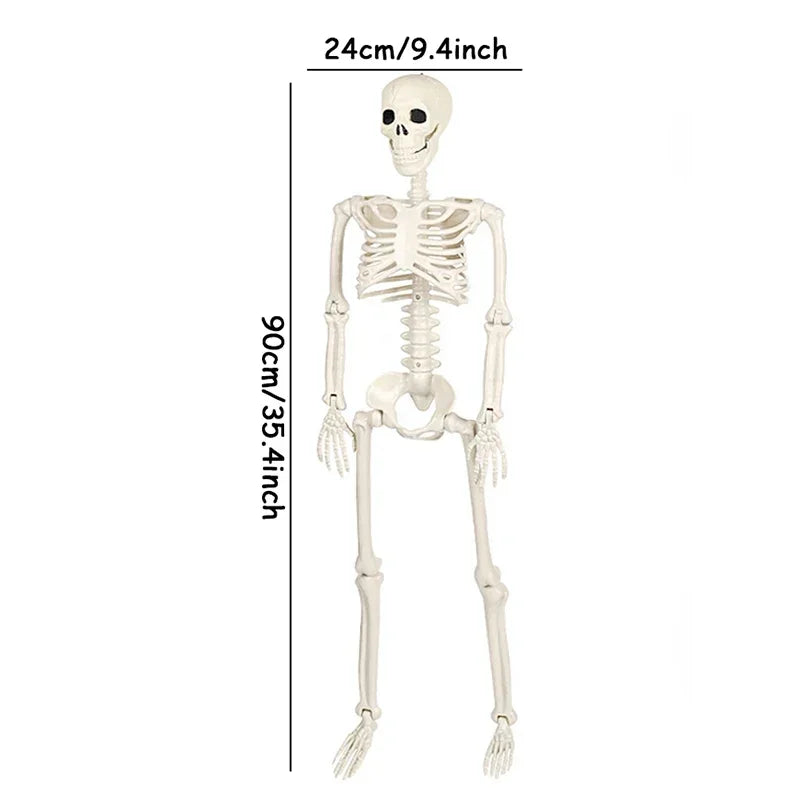 A white movable Halloween skeleton decoration showing the full skeletal structure.