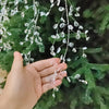 A hand holds a delicate string of clear crystal acrylic pendant ornaments against a green fir branch.
