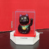 A black figurine of a cat with purple accents is displayed inside a clear box on a white stand.
