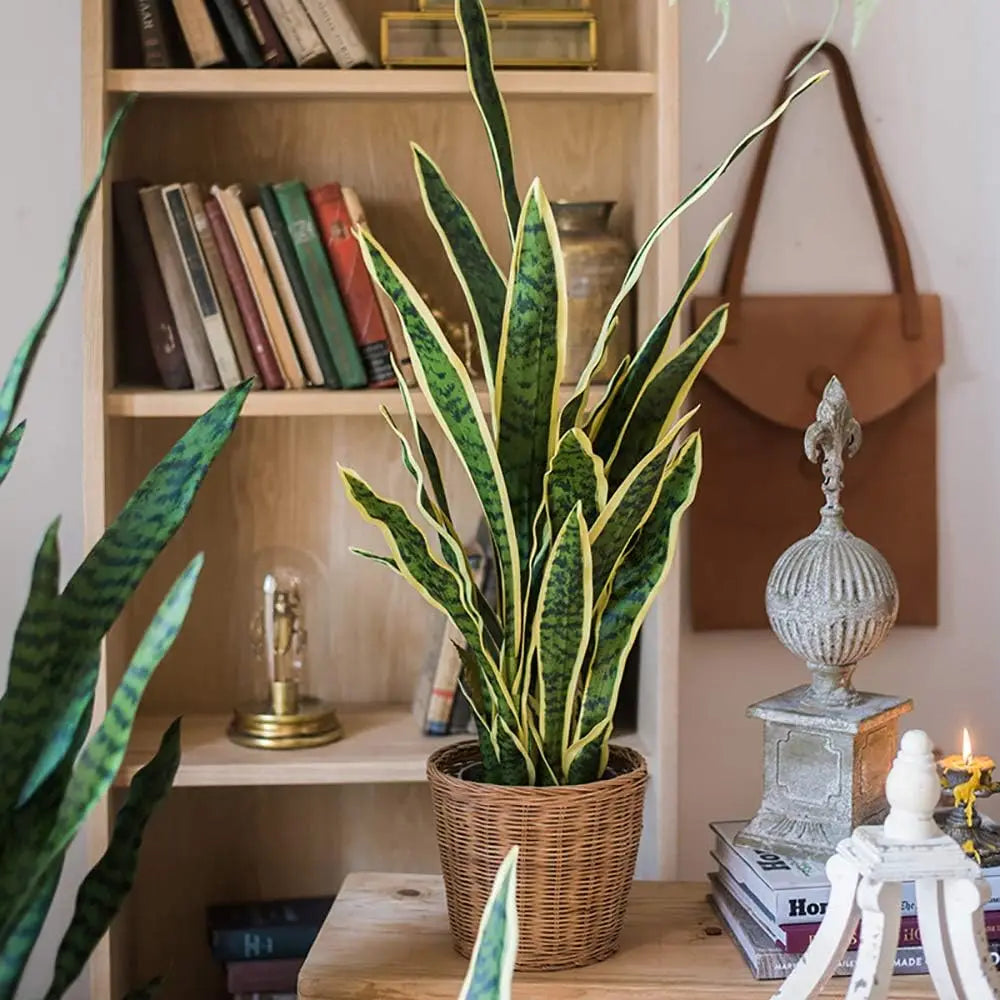 Una alta planta artificial de serpiente en una maceta tejida, exhibida en un estante de madera con libros y artículos decorat