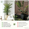 Comparison of artificial palm trees showing durability and UV resistance features