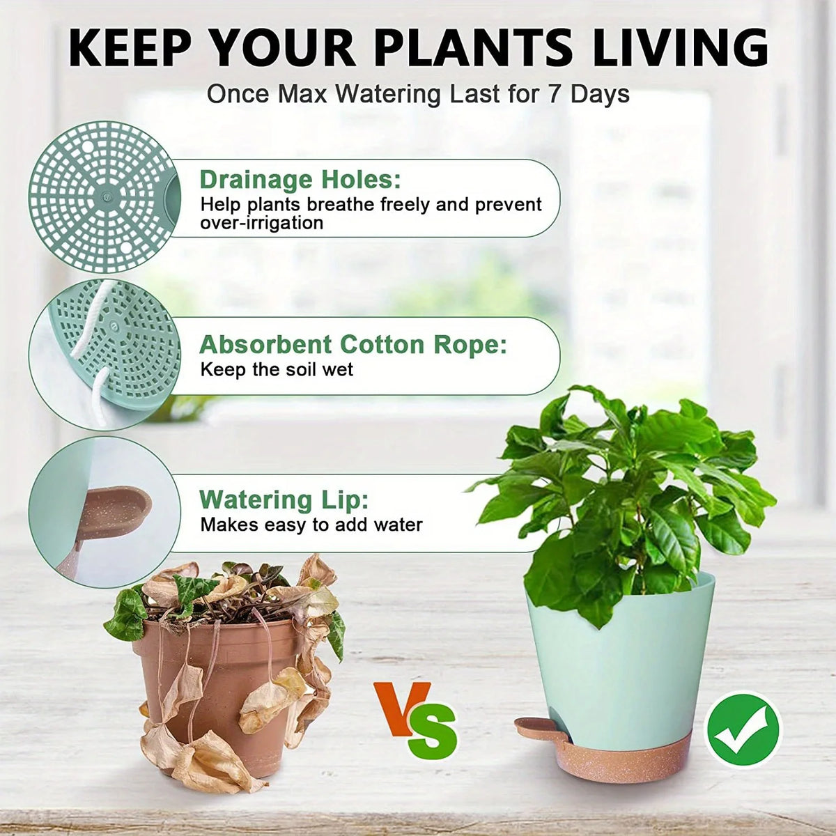 A set of self-watering plant pots demonstrating drainage holes, absorbent cotton rope, and a watering lip for plant care.