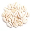 Natural Sea Snail Shell Beads for DIY Jewelry Making