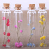 Four glass bottles with cork stoppers containing dried pink, purple, blue, and yellow flowers