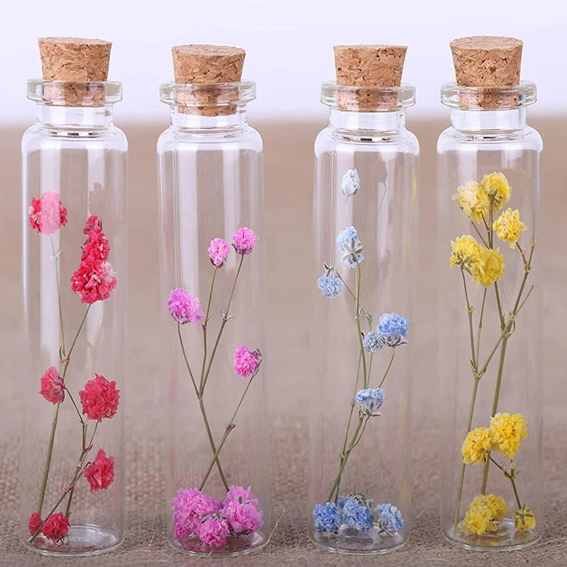 Four glass bottles with cork stoppers containing dried pink, purple, blue, and yellow flowers