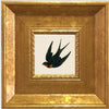 A dark bird silhouette is displayed within an ornate gold photo frame.