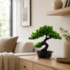 An artificial bonsai pine tree in a black pot sits on a wooden cabinet next to a sofa.