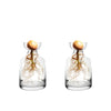 A glass vase containing a plant with visible roots and an avocado seed growing inside.