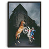 A dynamic photo of a brown horse and rider in action, captured against a dark urban building backdrop.