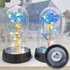 A glass dome featuring an eternal rose plant illuminated by a bright LED light.