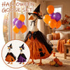A Halloween goose costume set featuring a witch outfit with a hat and cape, displayed next to balloons and pumpkins.