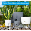 A self-watering transparent flower pot with a water filling port and cotton rope, shown on a wooden surface.