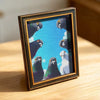 A framed photograph of three pet pigeons with dark feathers and light gray heads against a blue background.