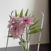 A bouquet of pink dahlia flowers displayed in a clear acrylic frame vase.