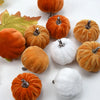 A collection of ten small, round velvet pumpkin decorations in various shades of orange and white.