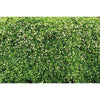 Lush green tropical jungle leaf photography backdrop covered in small white flowers.