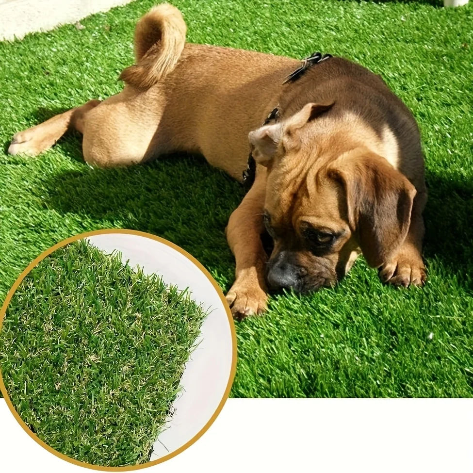 Ein brauner Hund liegt auf künstlichem grünem Rasen, Nahaufnahme der synthetischen Grasstruktur.