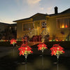Red poinsettia garden lights illuminate a house facade during twilight.