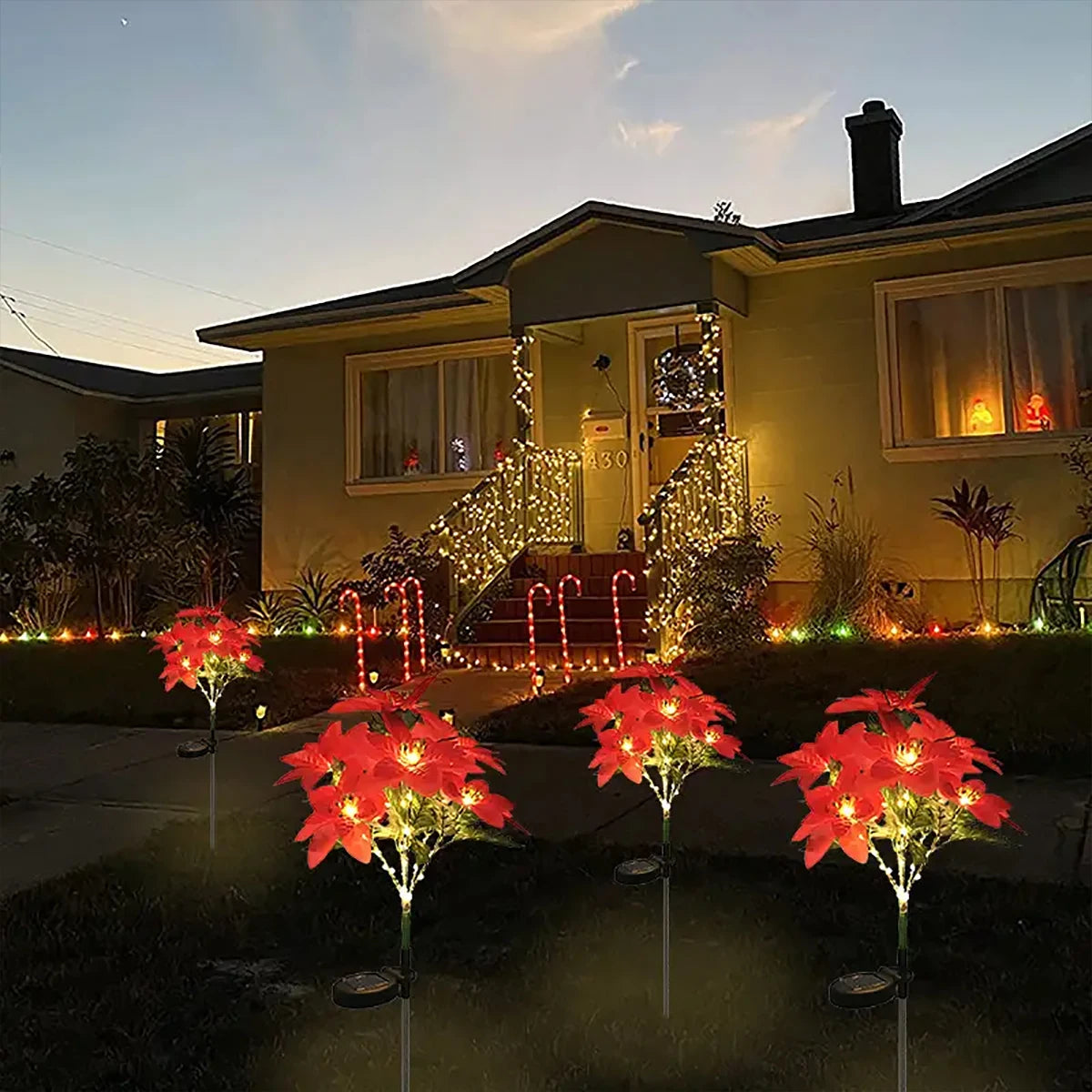 Red poinsettia garden lights illuminate a house facade during twilight.