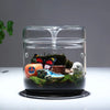A clear glass container filled with moss, rocks, and small decorative items like a white snail and a butterfly.
