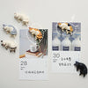 A set of six fridge magnets featuring various cat designs, including a white cat and an orange tabby cat.