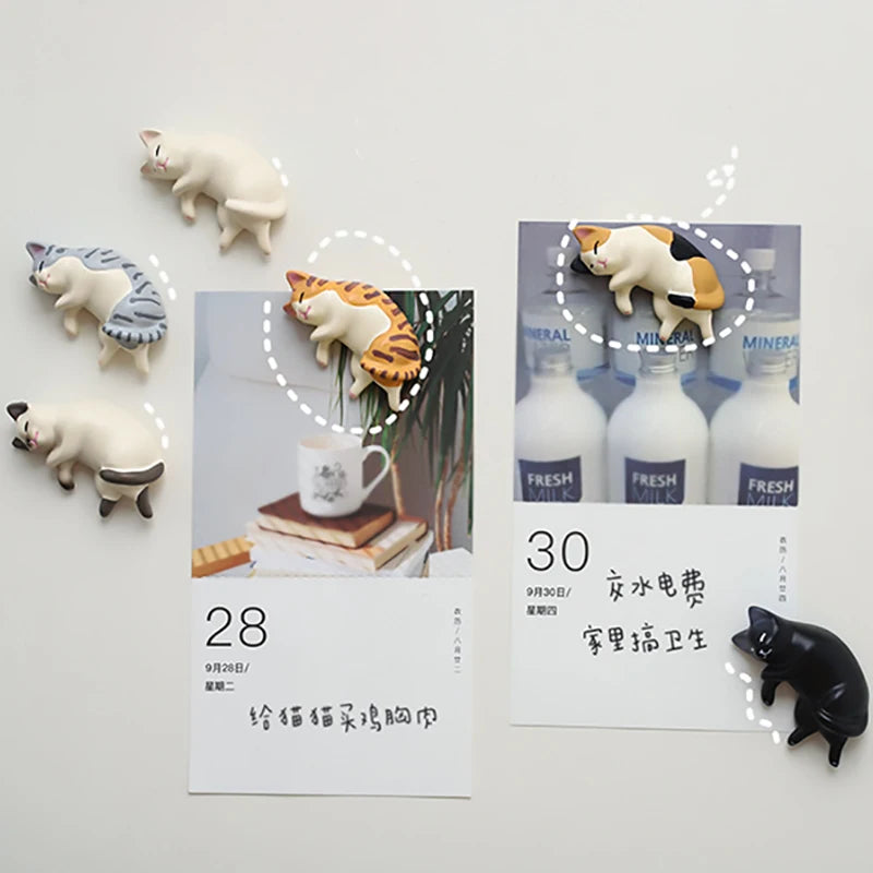 A set of six fridge magnets featuring various cat designs, including a white cat and an orange tabby cat.