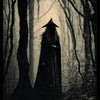 A silhouette of a witch with long dark hair stands in a foggy forest path.