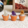 Three natural crystals, including clear quartz and purple amethyst, are potted in terracotta cups on a white cloth.