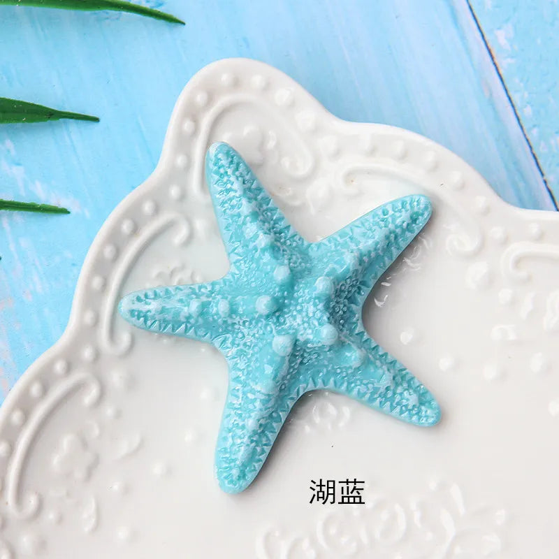 A light blue starfish decoration on a white plate.