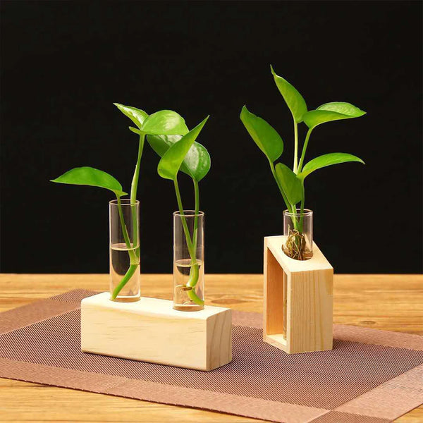 Glass Test Tube Propagation Station with Wooden Stand