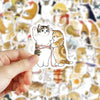 A hand holds a cat sticker featuring two kittens hugging against a background of many cute cats.