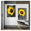 A framed print of a vibrant yellow sunflower against a dark background, displayed on a white wall.