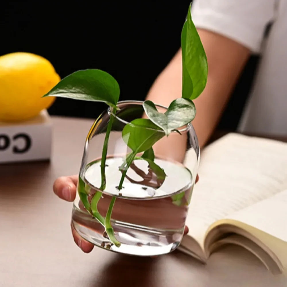 A hand holds a clear glass hydroponic vase containing a green plant on a wooden table.