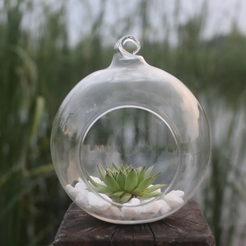 A clear glass hanging planter vase filled with small white stones and a green succulent plant