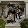 A large black spider with a white web is displayed in front of a house with green shrubs.