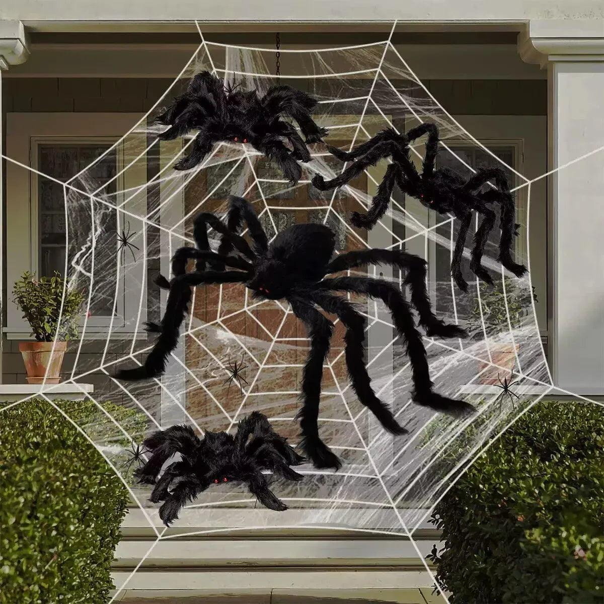 A large black spider with a white web is displayed in front of a house with green shrubs.