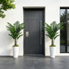 A pair of artificial palm trees in white pots flank a dark gray door on a white wall.