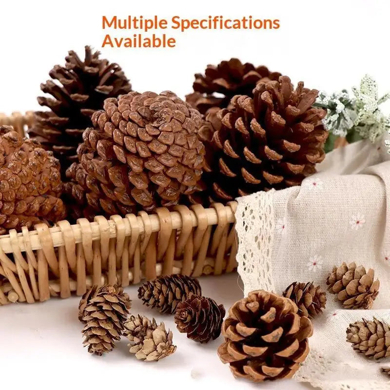 A collection of natural dried pine cones in various shades and sizes for Christmas decor and crafts.