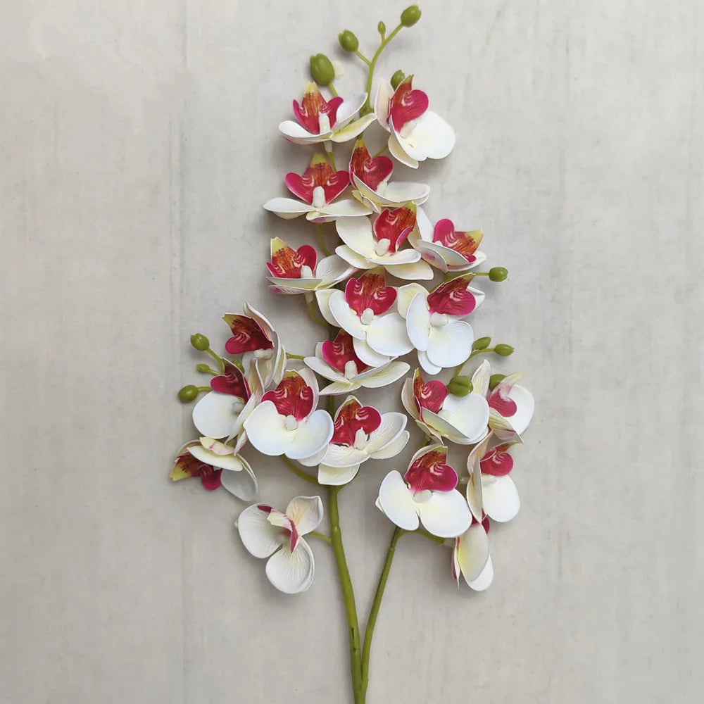 A slender stem of a Lifelike Butterfly Orchid featuring 21 small blooms in white and reddish-pink hues.