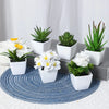 A set of six white artificial flower bonsai plants in small white pots arranged on a dark gray surface.