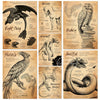 A collection of wizard fantasy canvas wall art featuring illustrations of unicorns, hedgehogs, and various dragons and owls.