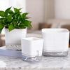 A set of self-watering clear planters with white lids and bottles sitting on a marble surface.