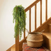 Künstliche Eukalyptus-Pinienranken Wanddekoration auf Holzgeländer und Treppe.