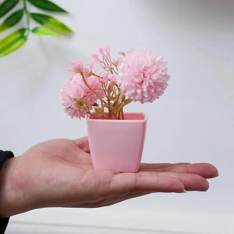 A hand holds a pink potted plant with fluffy pink flowers against a white background.