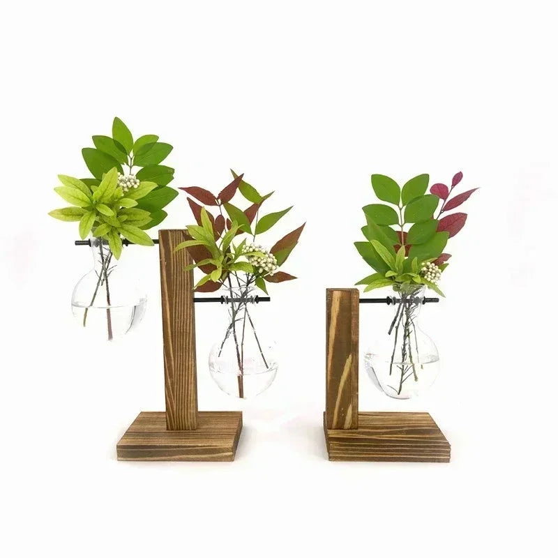 A set of three vintage hydroponic plant vases displaying green and red leafy plants.