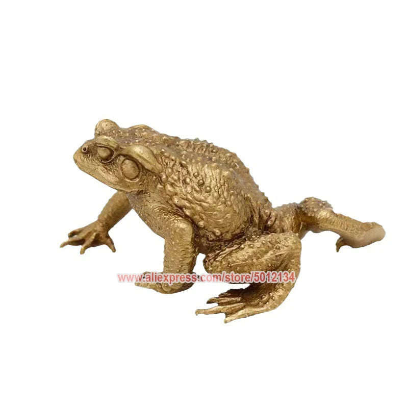 A brass money frog feng shui figurine with realistic texture and golden color.