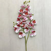 A stem of Lifelike Butterfly Orchid with 21 blooms featuring pink, white, and deep red petals.