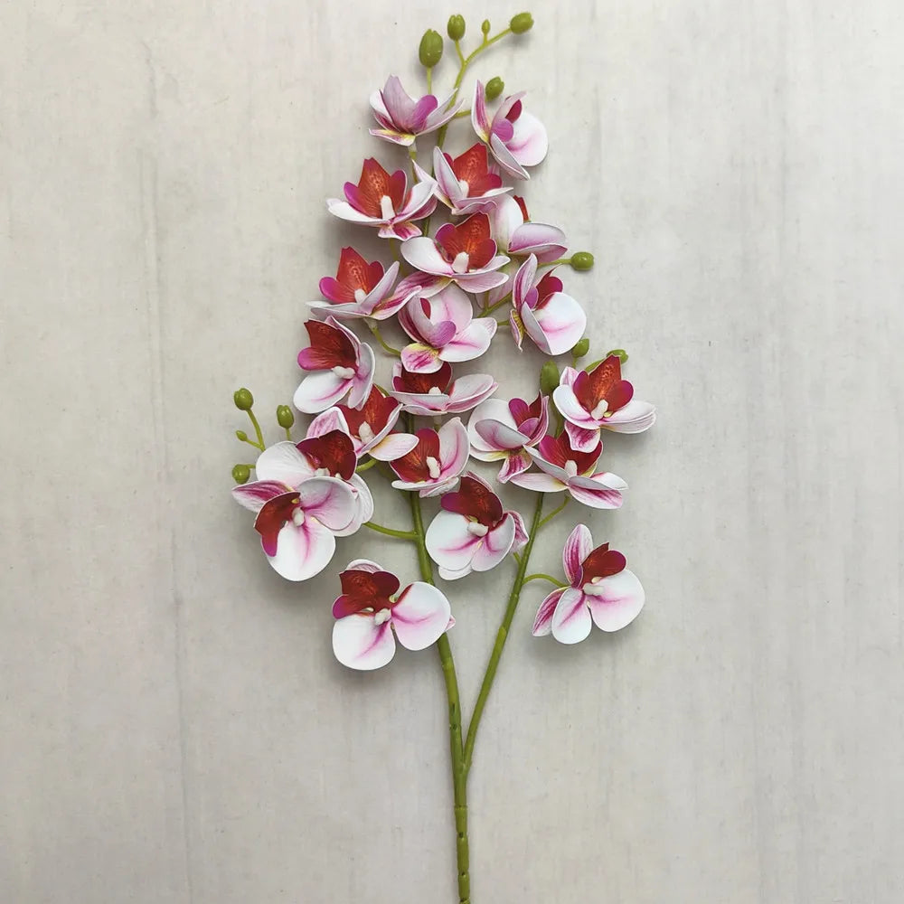 A stem of Lifelike Butterfly Orchid with 21 blooms featuring pink, white, and deep red petals.