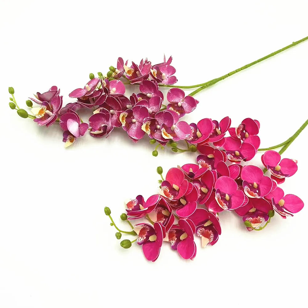 A cluster of vibrant magenta and purple orchid blooms on a green stem.