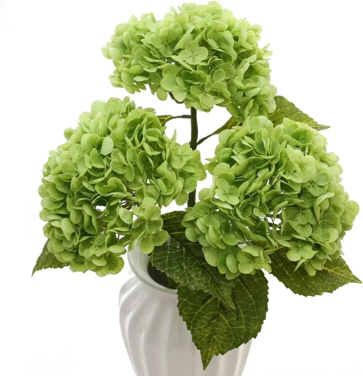 A bouquet of large artificial lime green hydrangea flowers with dark green leaves in a white vase.